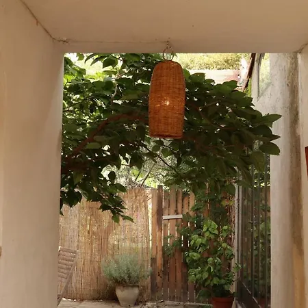 La Summer House Avec Jardin Arles