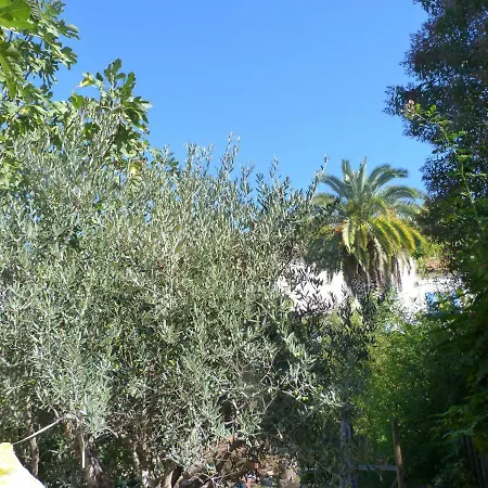 La Summer House Avec Jardin