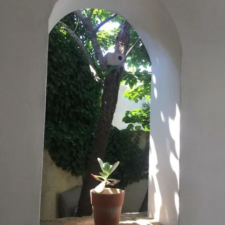 Pensión La Summer House Avec Jardin